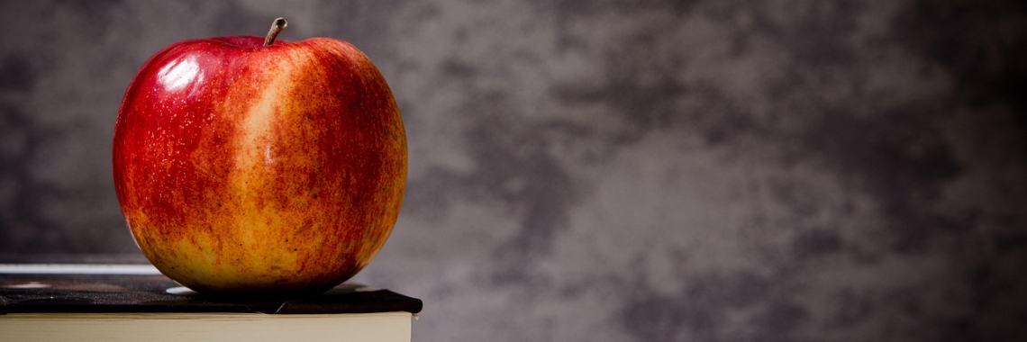 Photo bannière du Comité sur l’organisation de la journée de perfectionnement collectif